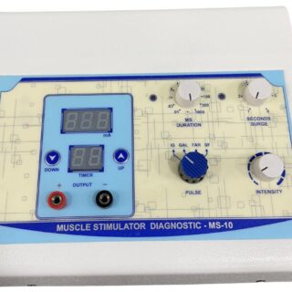 M.S. 10 ANALOG